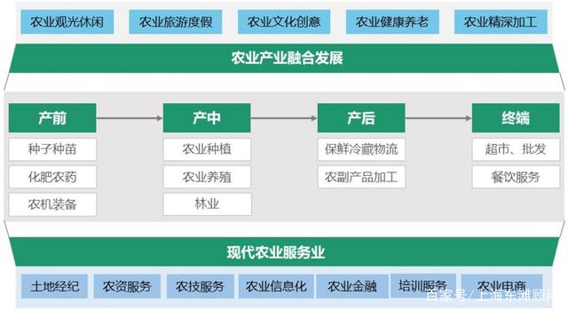 县域经济新浪潮 餐饮服务业的创新趋势与发展模式